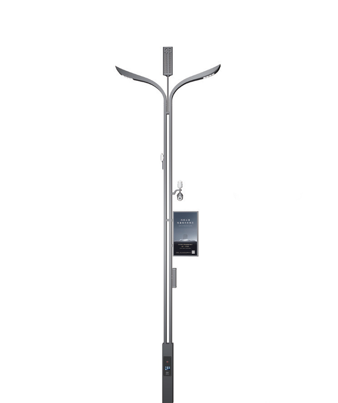 ZHLD-023 Smart Streetlight