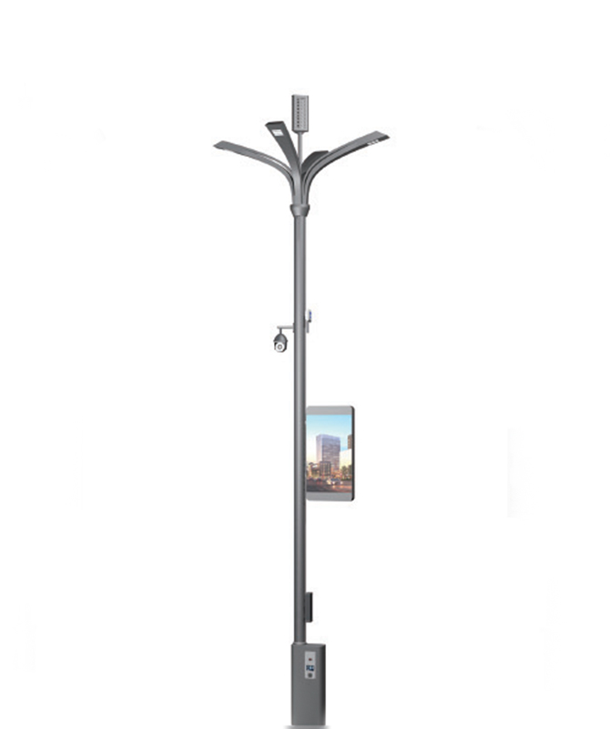 ZHLD-041 Smart Streetlight