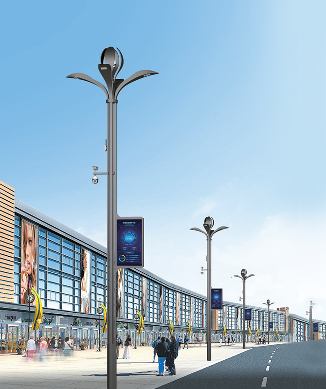 ZHLD-039 Smart Streetlight
